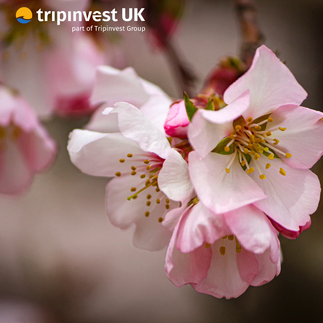 Springtime in Spain: Discover Costa Blanca and Costa del Sol