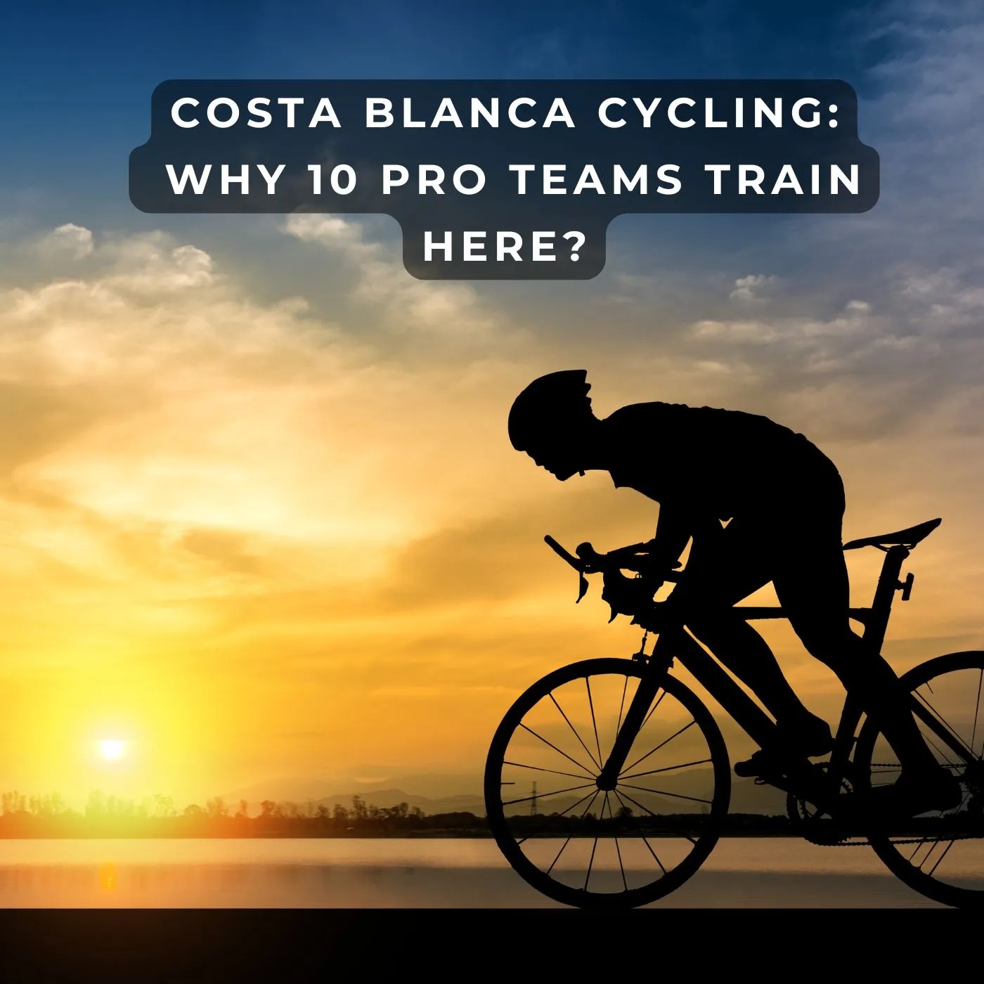 Costa Blanca Cycling: Why 10 Pro Teams Train Here? [Guide]